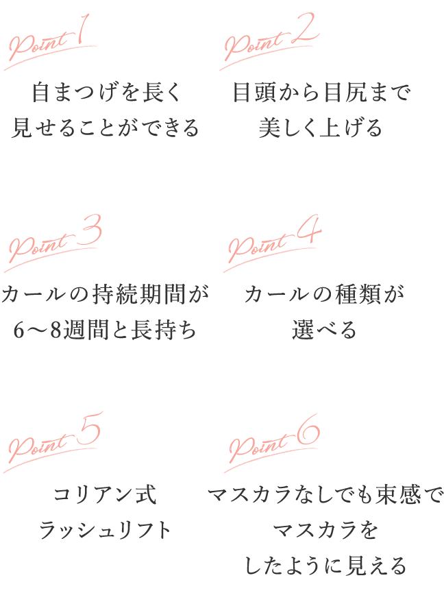 特徴